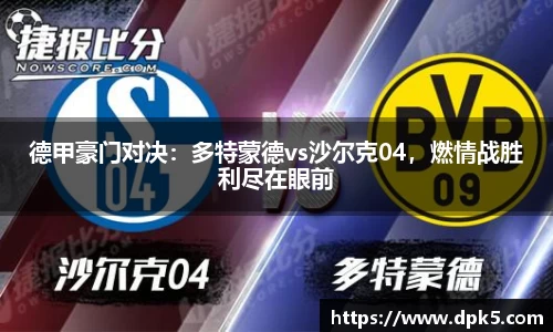 bsports官网入口