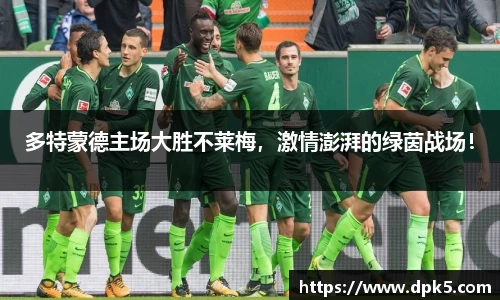 bsports登录入口