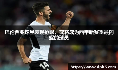bsports官网入口