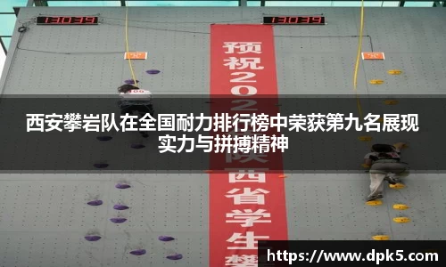 bsports登录入口