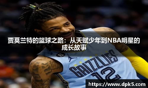 bsports官网入口