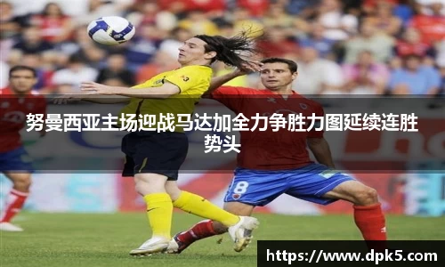 bsports登录入口