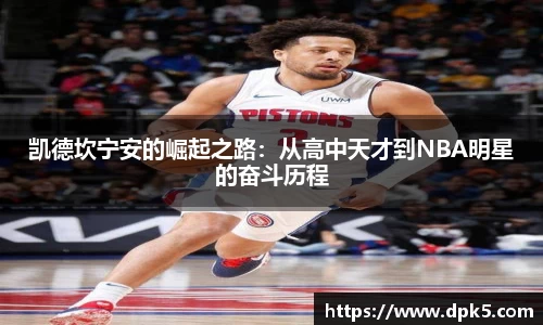 bsports登录入口