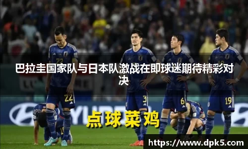 bsports登录入口