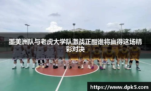 bsports登录入口