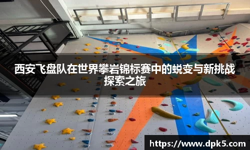 bsports官网入口