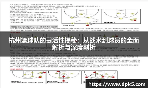 bsports官网入口